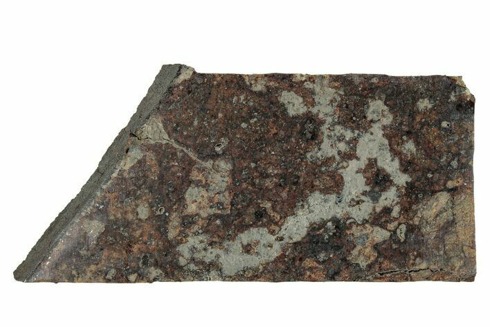 Holbrook Chondrite Meteorite Fragment ( g) - Arizona #280784